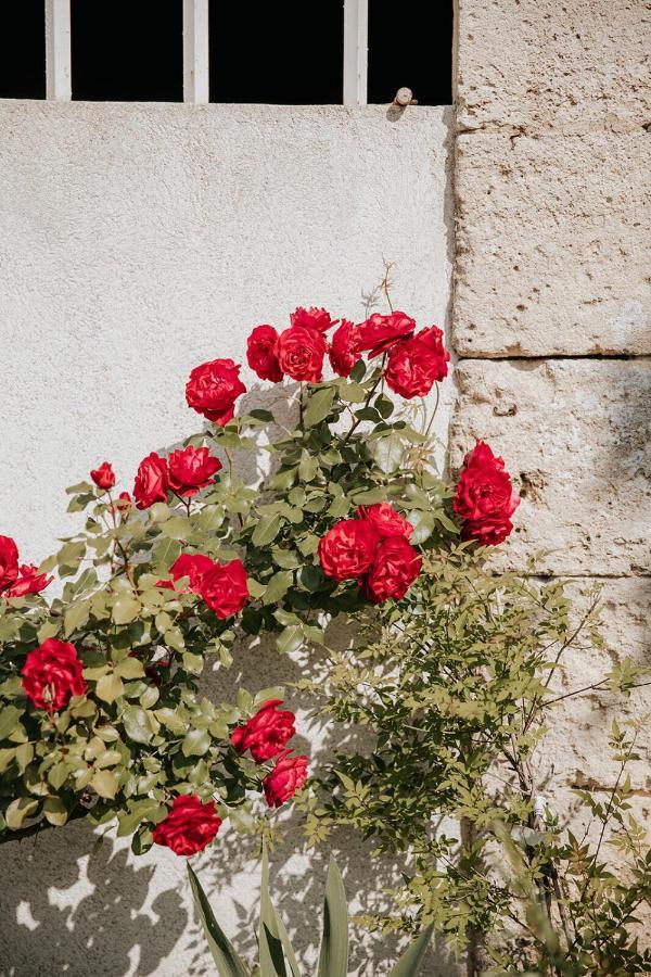 Bed and Breakfast Chateau La Grande Clotte Lussac  Exterior foto