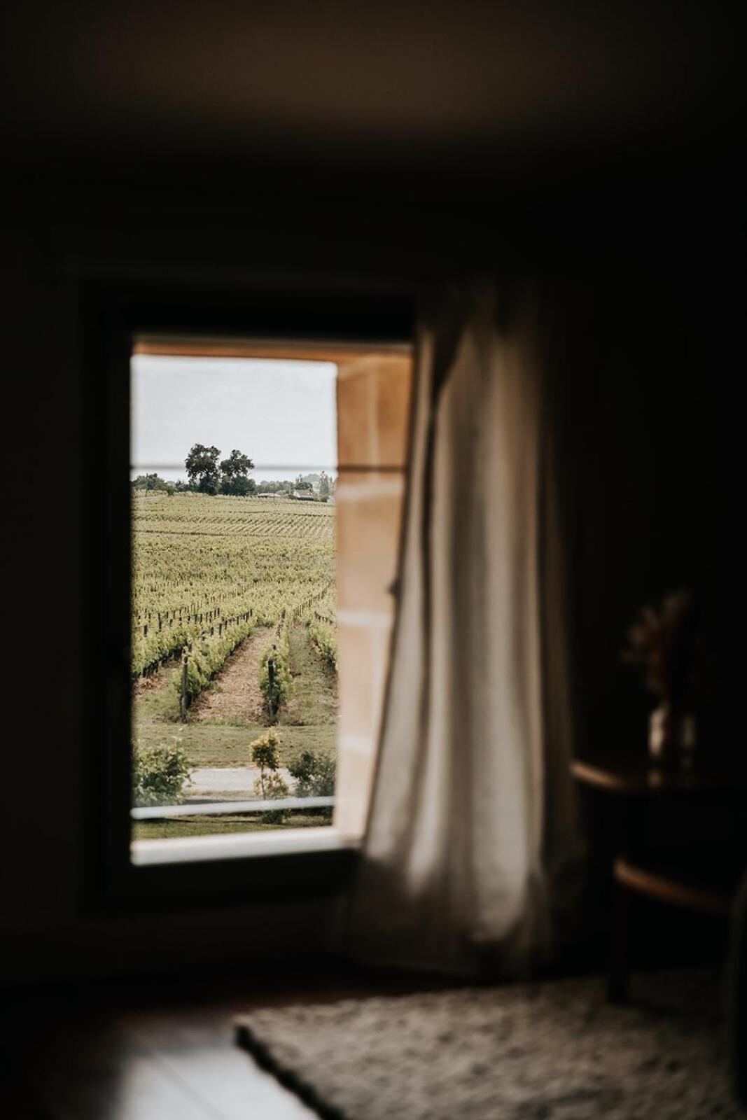 Bed and Breakfast Chateau La Grande Clotte Lussac  Zimmer foto